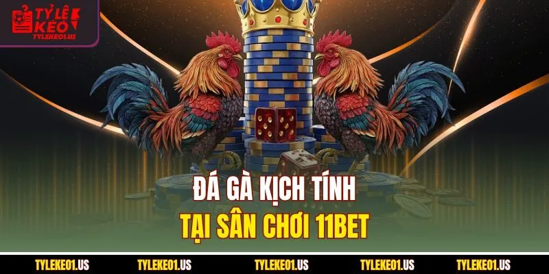 Đá gà kịch tính tại sân chơi 11bet