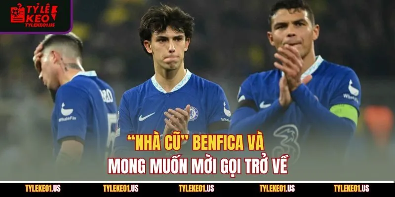 “Nhà cũ” Benfica và mong muốn mời gọi trở về