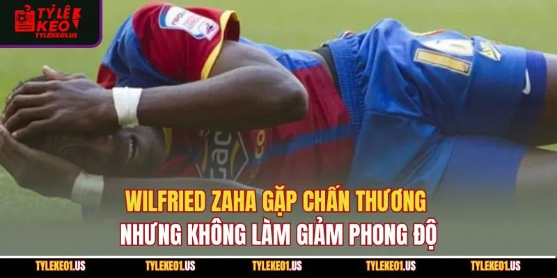 Wilfried Zaha gặp chấn thương nhưng không làm giảm phong độ